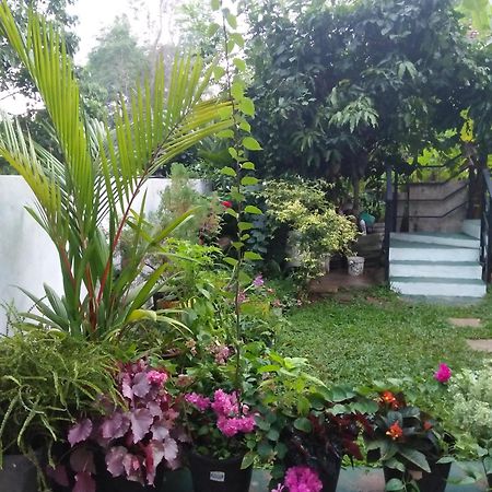 Jungle View One Bedroom Private Apartment Unawatuna Εξωτερικό φωτογραφία
