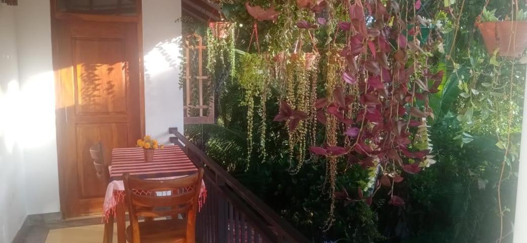 Jungle View One Bedroom Private Apartment Unawatuna Εξωτερικό φωτογραφία
